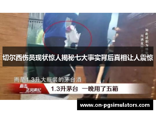 切尔西伤员现状惊人揭秘七大事实背后真相让人震惊