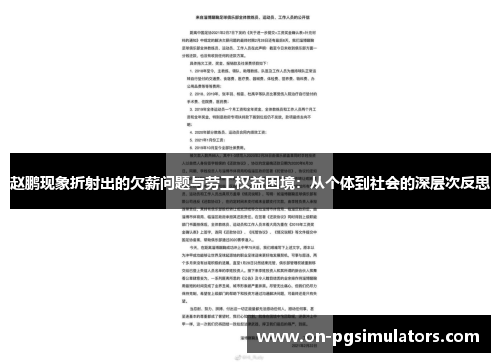 赵鹏现象折射出的欠薪问题与劳工权益困境：从个体到社会的深层次反思