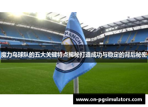 魔力鸟球队的五大关键特点揭秘打造成功与稳定的背后秘密