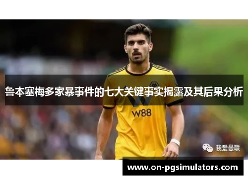 鲁本塞梅多家暴事件的七大关键事实揭露及其后果分析