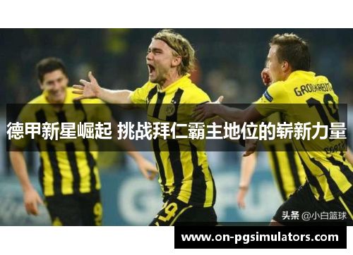 德甲新星崛起 挑战拜仁霸主地位的崭新力量