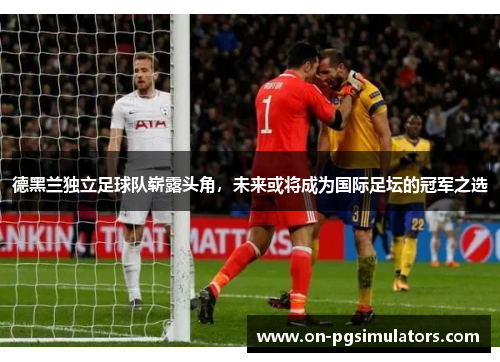 德黑兰独立足球队崭露头角，未来或将成为国际足坛的冠军之选