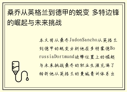 桑乔从英格兰到德甲的蜕变 多特边锋的崛起与未来挑战